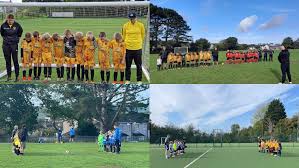 Image result for Torpoint Athletic Football Club