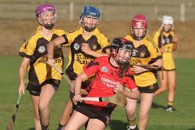 Image result for St Rita`s Camogie Club