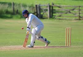 Image result for Hatherleigh Cricket Club