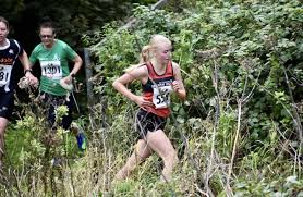 Image result for Billingham Marsh House Harriers