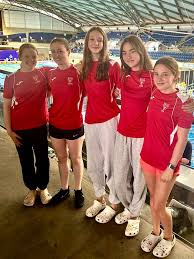 Image result for Stortford Divers