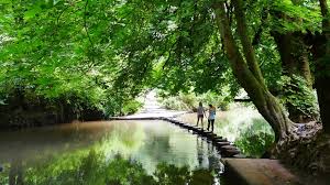 Image result for Box Hill SC