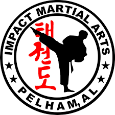 Image result for Impact Martial Arts