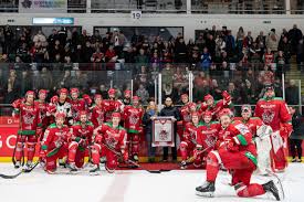 Image result for Cardiff Devils
