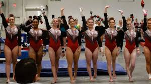 Image result for Sheredes Gymnastics Club