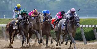 Image result for The Horse Racing Club