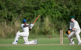 Image result for Bunbury Cricket Club