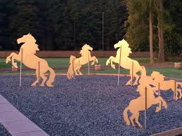 Image result for Scottish Equi Complex