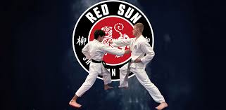 Image result for Redhill Karate Association
