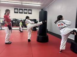 Image result for ATA Martial Arts Mobile