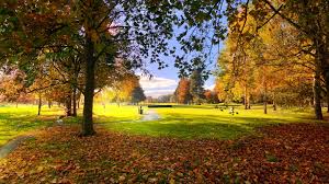Image result for Driffield Golf Club