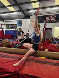 Image result for North Devon Display Gymnastics Club