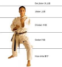 Image result for Jodan Karate