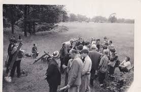 Image result for Byfleet Angling Club