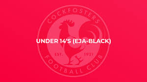 Image result for Cockfosters Football Club