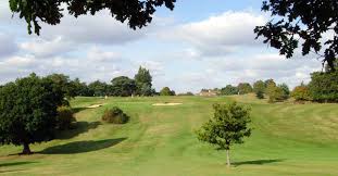 Image result for Chelmsford Gc