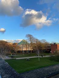 Image result for University Of Sussex