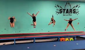 Image result for Gym Stars Cheerdancing Club