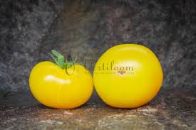 Afbeeldingsresultaat voor blushing yellow tomato