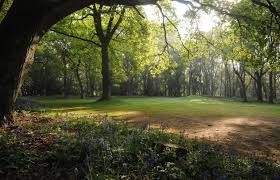 Image result for Chesham & Ley Hill Golf Club