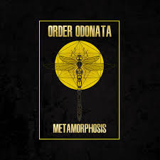 Attēlu rezultāti vaicājumam “Odonata”