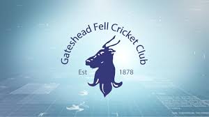 Image result for Gateshead Fell Cricket Club