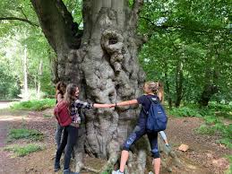 Image result for Epping Runners