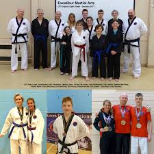 Image result for Excalibur Martial Arts