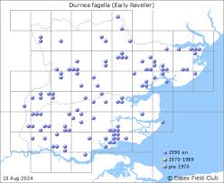 Attēlu rezultāti vaicājumam “Chimabachidae”