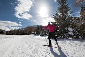 Image result for Scandinavian slope and cross country skiing