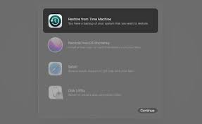 Image result for mac blue screen