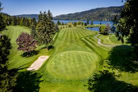 Image result for Bellingham Golf Club