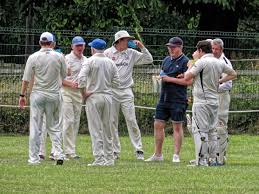 Image result for Nazeing Common Cricket Club