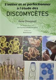 Attēlu rezultāti vaicājumam “Neocudoniella albiceps”