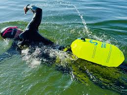 Image result for SwimSwansea