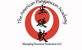 Image result for New Path Martial Arts Academy