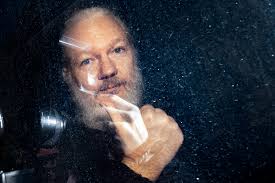 Image result for assange