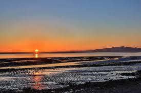Image result for Solway