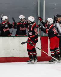 Image result for Spalding Hockey Club