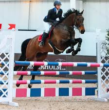 Image result for Buchan Group Riding For The Disabled