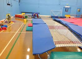 Image result for Gym Tots