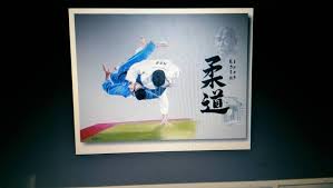 Image result for Samurai Judo Club