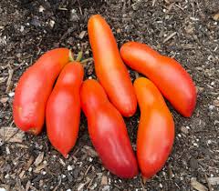 Afbeeldingsresultaat voor caspian pink tomato