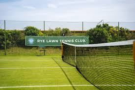 Image result for Rye Badminton Club