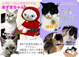 猫次郎에 대한 이미지 검색결과