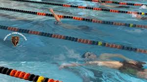 Image result for Lewsey Centre Swimming Club