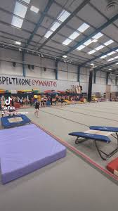 Image result for Spelthorne School Of Gymnastics