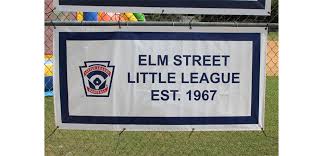 Image result for Elmbridge Girls` Little League