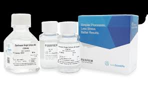 「 N   X ^   { [ C」の画像検索結果