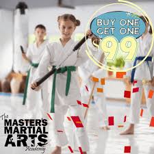 Image result for Masters of Martial Arts